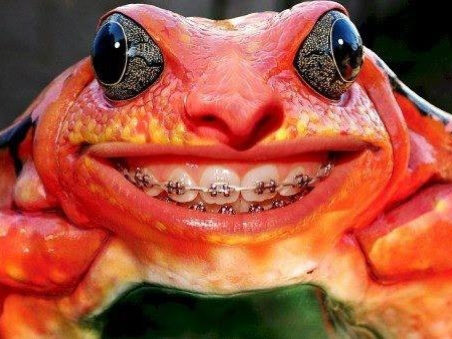 shapeimage_2-2